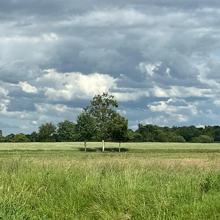 Sonnenschein